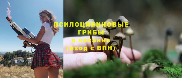 ешки Снежногорск