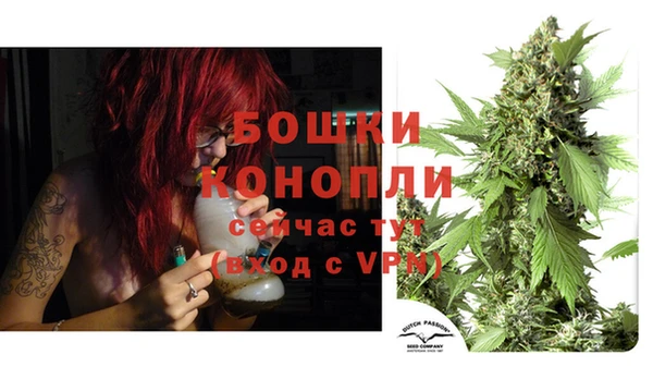 ешки Снежногорск