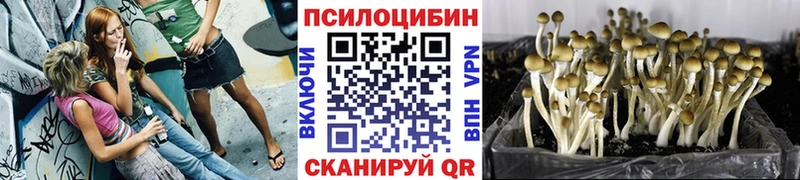 ОМГ ОМГ сайт  Заполярный  Галлюциногенные грибы GOLDEN TEACHER 