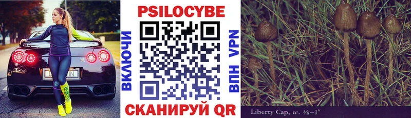 Псилоцибиновые грибы MAGIC MUSHROOMS Заполярный